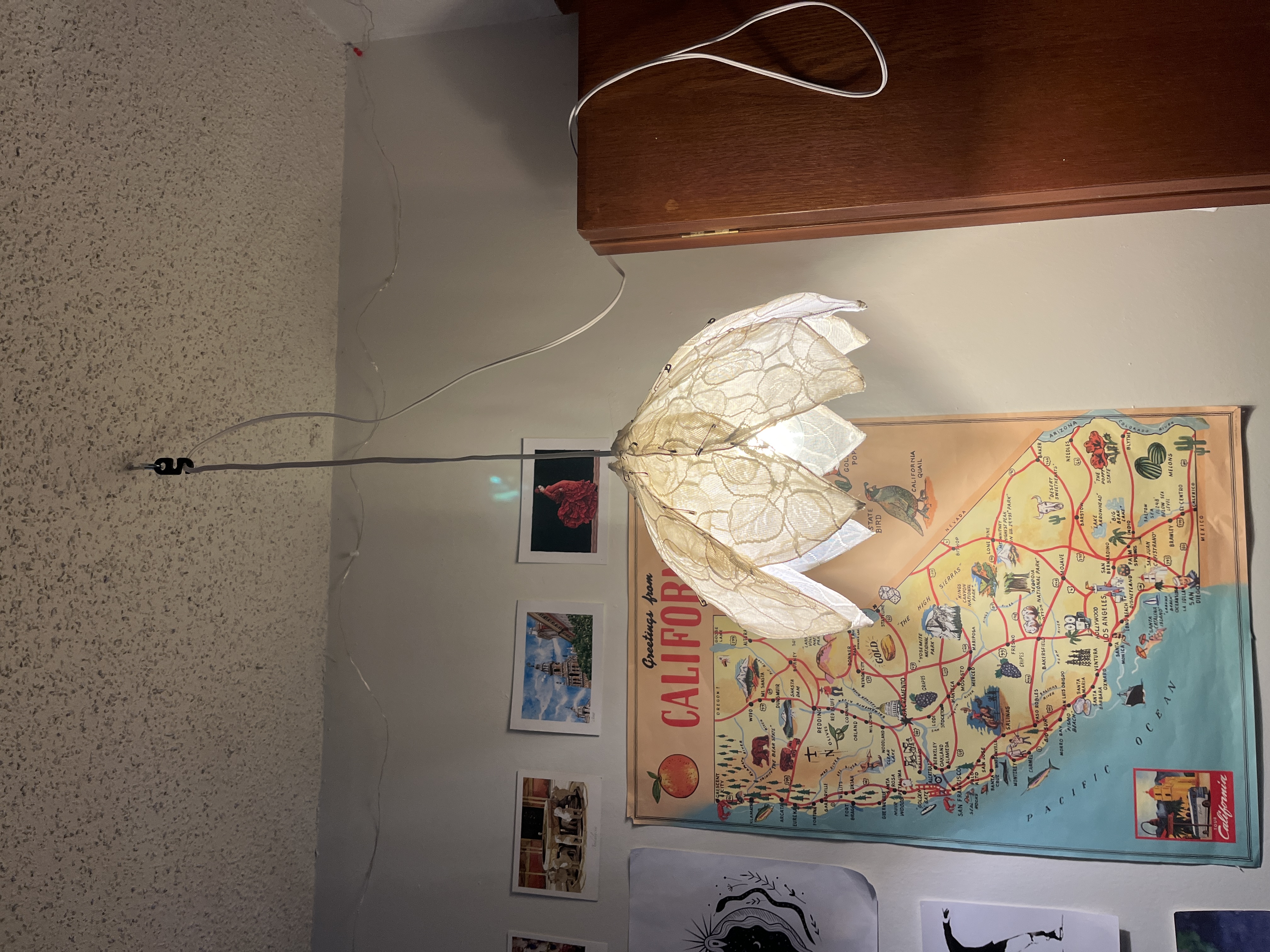 Flower lamp hanging in room, lit